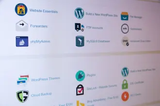 Person registering a domain name on a laptop